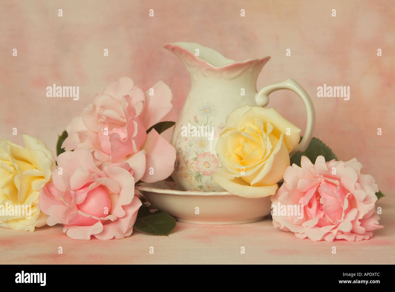 Gartenrosen mit Krug und Krug Stockfoto