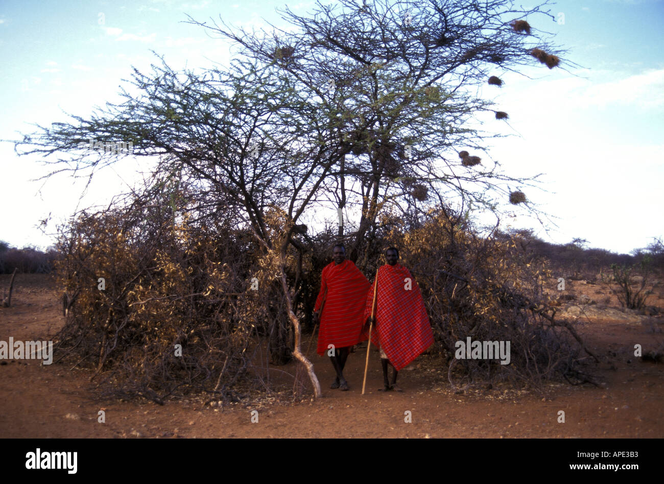 Legen Sie zwei Samburu ältesten am Eingang zu den ältesten treffen Kenia Stockfoto