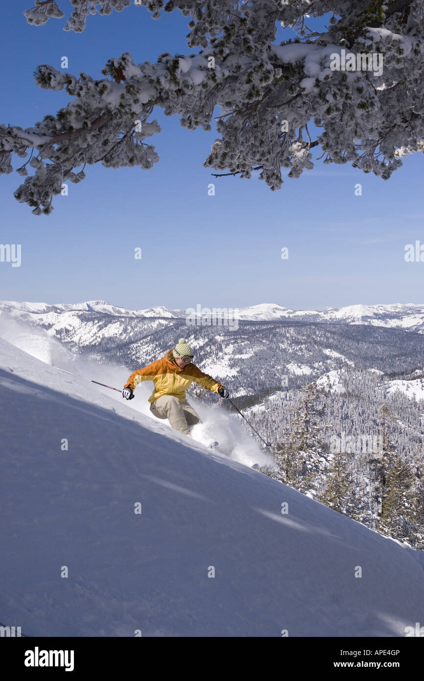 Eine Frau Skifahren Pulverschnee an einem sonnigen Tag im Northstar Skigebiet in der Nähe von Lake Tahoe in Kalifornien Stockfoto