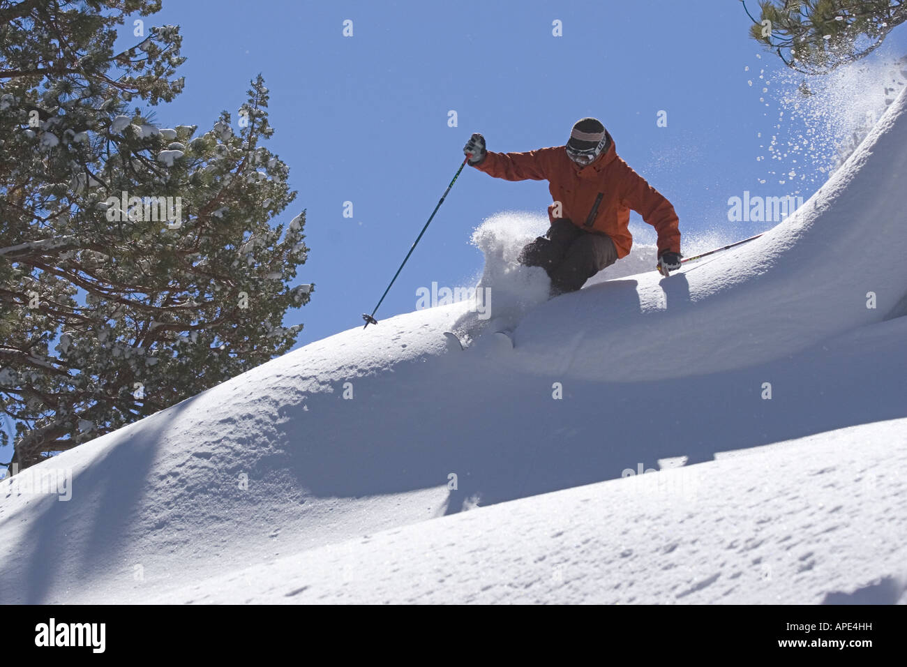 Ein Mann Skifahren Pulverschnee an einem sonnigen Tag im Northstar Skigebiet in der Nähe von Lake Tahoe in Kalifornien Stockfoto