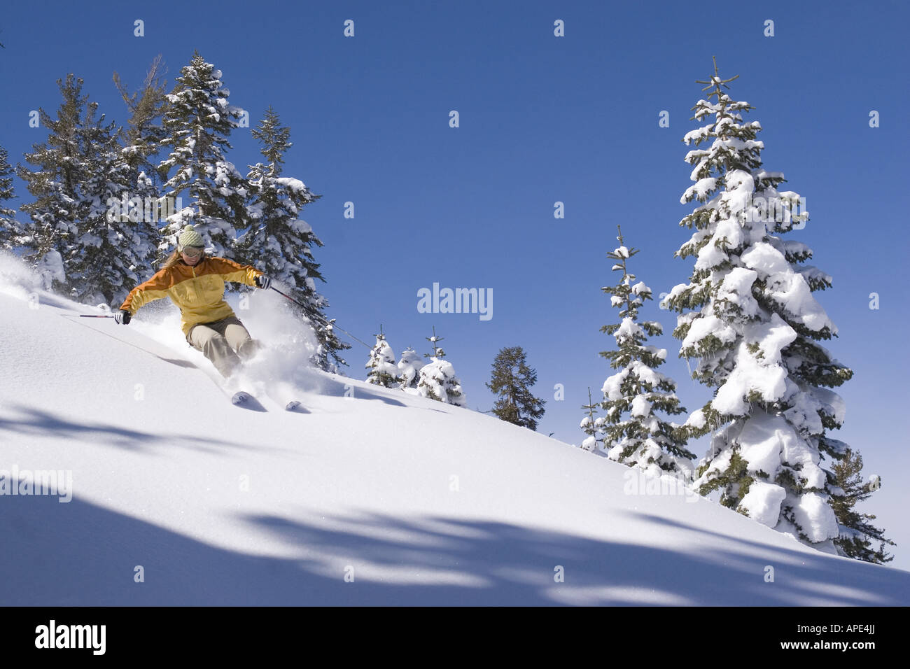 Eine Frau Skifahren Pulverschnee an einem sonnigen Tag im Northstar Skigebiet in der Nähe von Lake Tahoe in Kalifornien Stockfoto