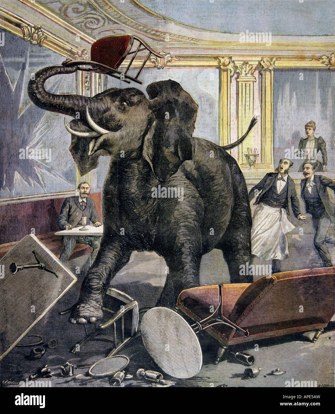 Presse/Medien, Zeitschriften, "Le Petit Journal", Paris, 2. Band, Nummer 51, illustrierte Beilage, 14. November 1891, Illustration, "Ein Elefant im Café", Stockfoto