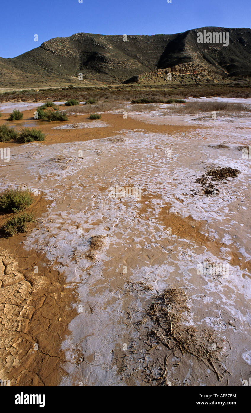 trockenen Boden Rodalquilar Tal Cabo de Gata Natural Park Andalusien Spanien Stockfoto