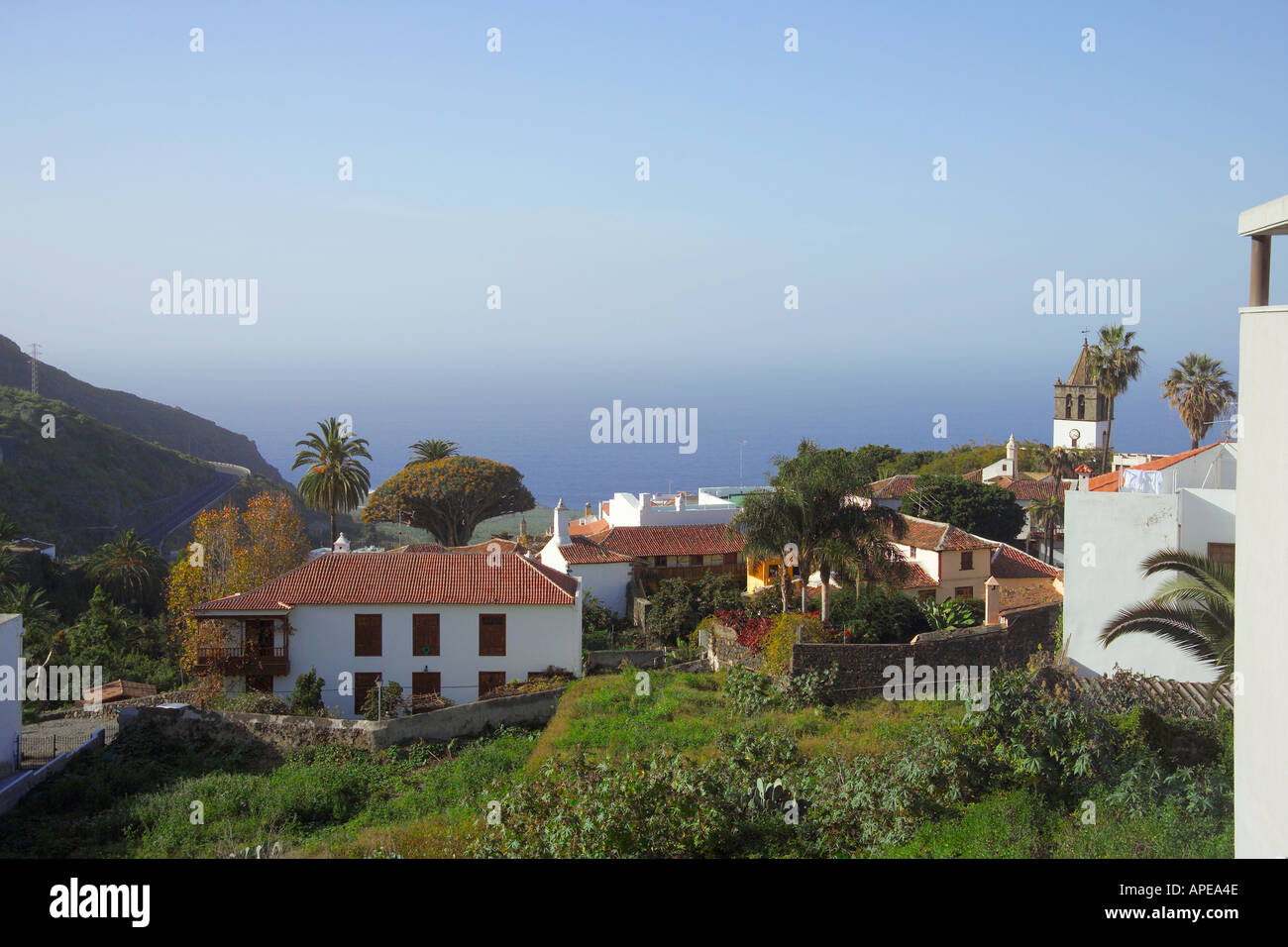 Spanien Kanaren Teneriffa Icod de Los Vinos Stockfoto