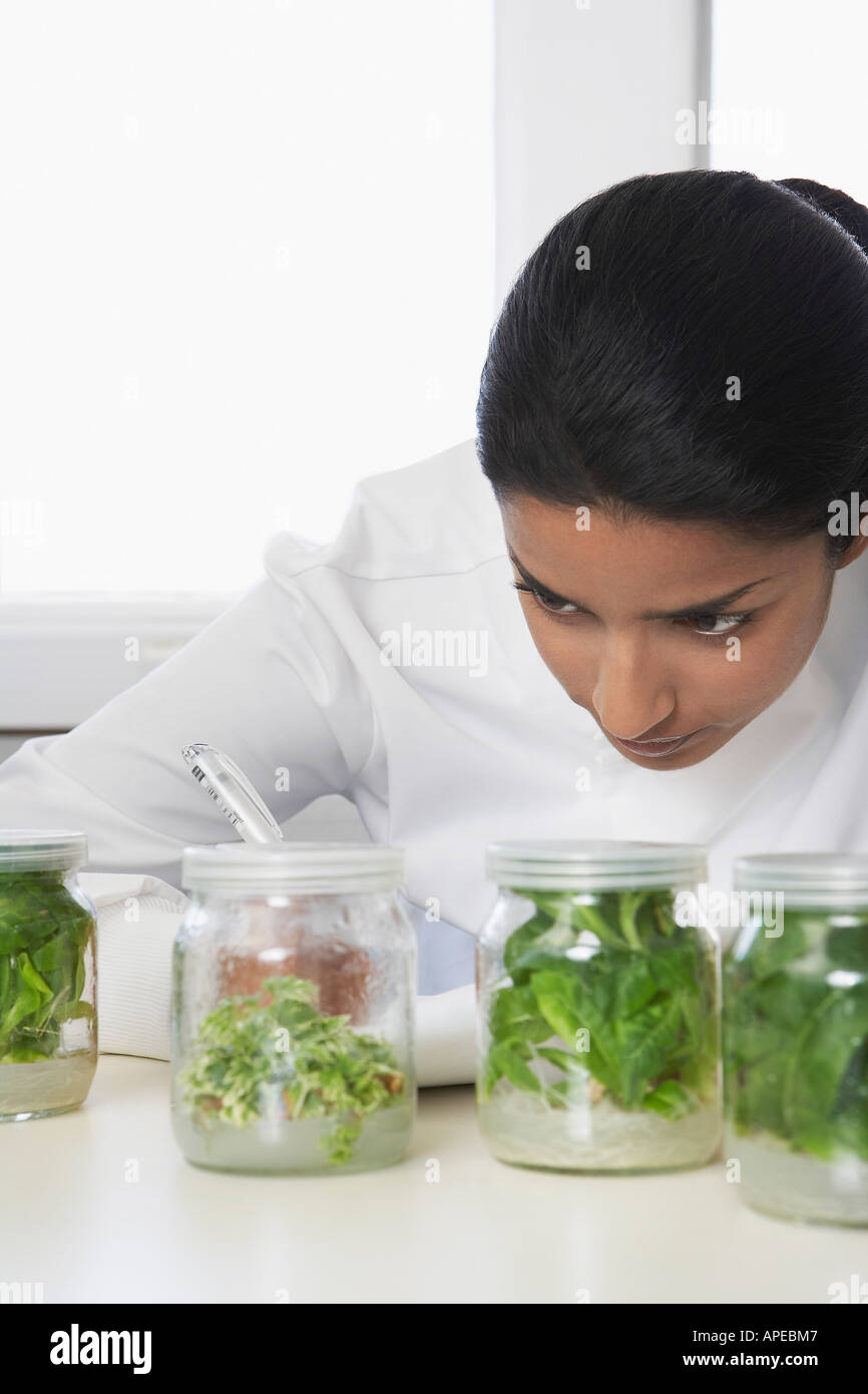Weibliche Lab Arbeiter Prüfung Glas Gläser mit Pflanzenmaterial, Aufzeichnung von Beobachtungen Stockfoto