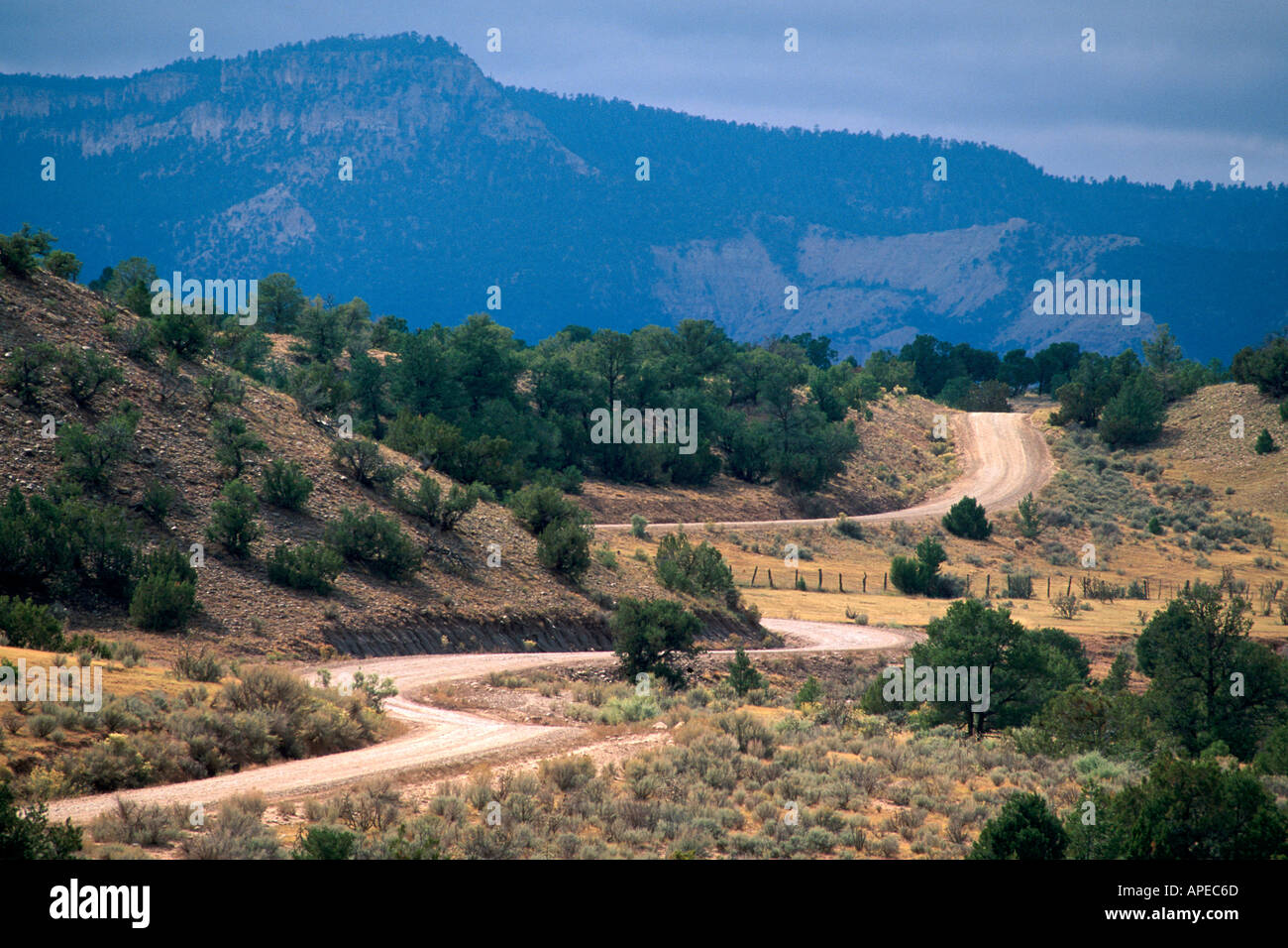 Verdrehen Kurven auf einem ländlichen Schotterweg durch die sanften Hügel in der Nähe von Ghost Ranch in New Mexico Stockfoto