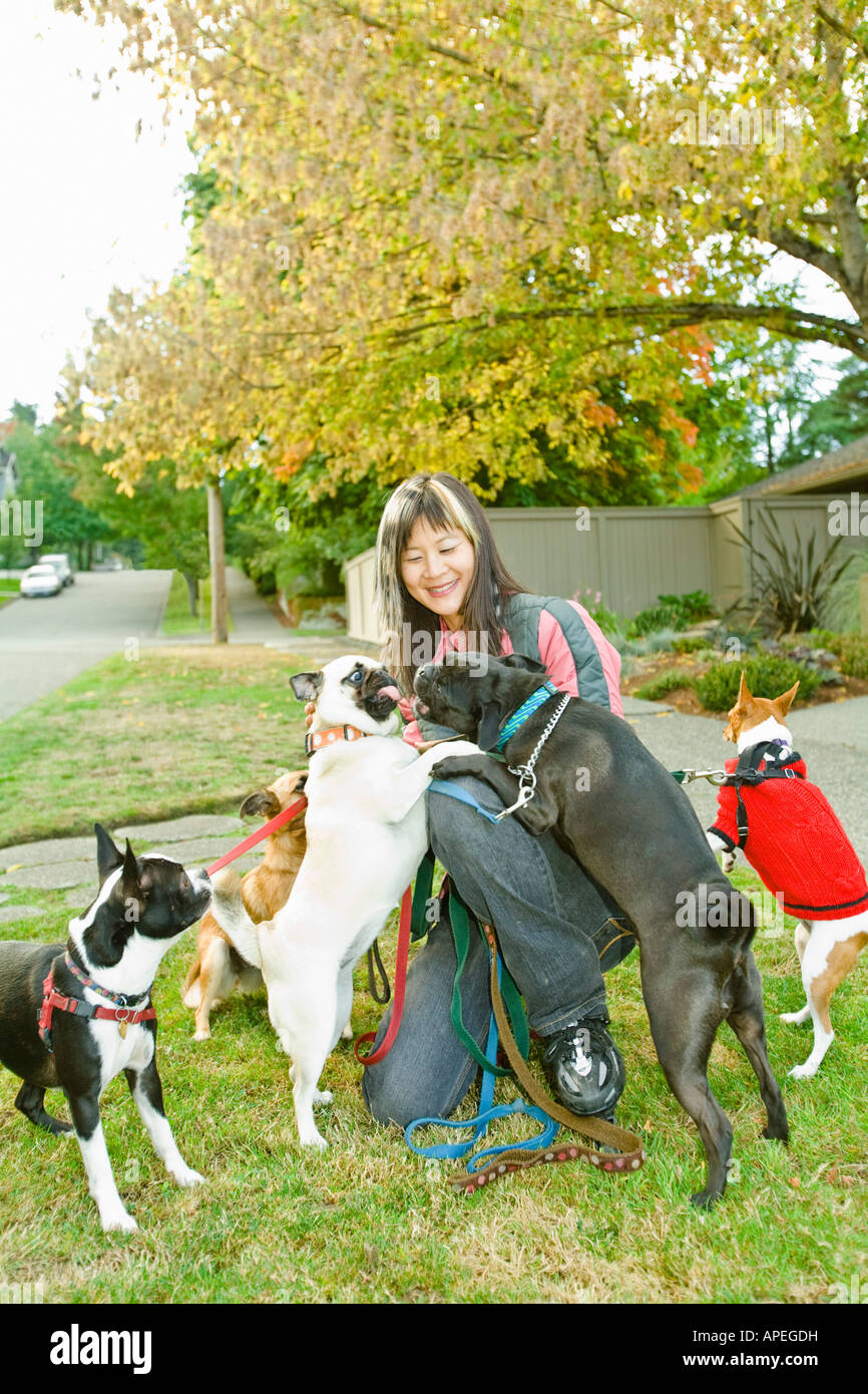 Asiatische Frau mit mehreren Hunden an der Leine Stockfoto