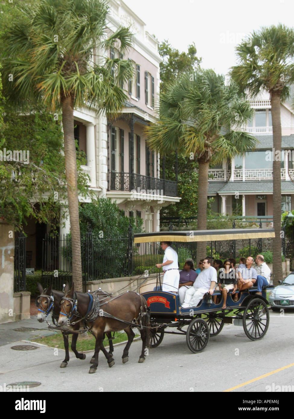 Charleston S.C. Buggy-Fahrt entlang der Batterie von Charleston historische Häuser. Stockfoto
