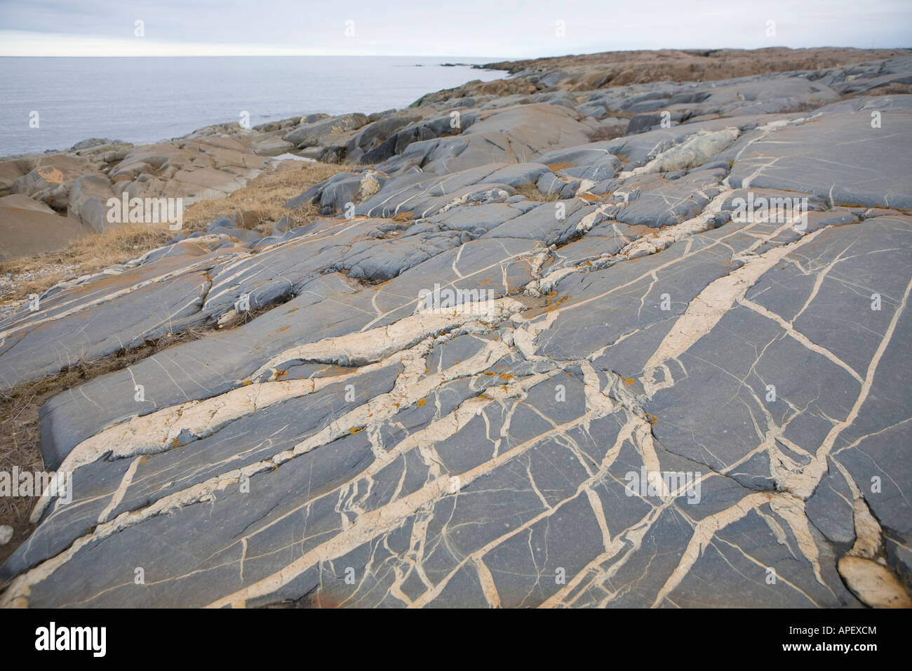 Gesteinsschichten durch die Hudson Bay. Stockfoto