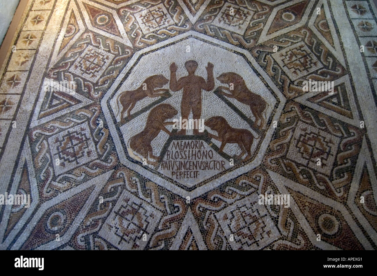 Kunstwerke im Museum Bardo in Tunis, Tunesien. Hier ist ein römisches Mosaik zeigt frühe Christen angeboten zu den Löwen Stockfoto