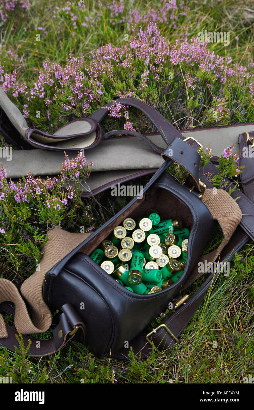 Ledertasche Patrone gefüllt mit 12 Gauge Schrotpatronen und Waffenkoffer sitzen in Heather Stockfoto