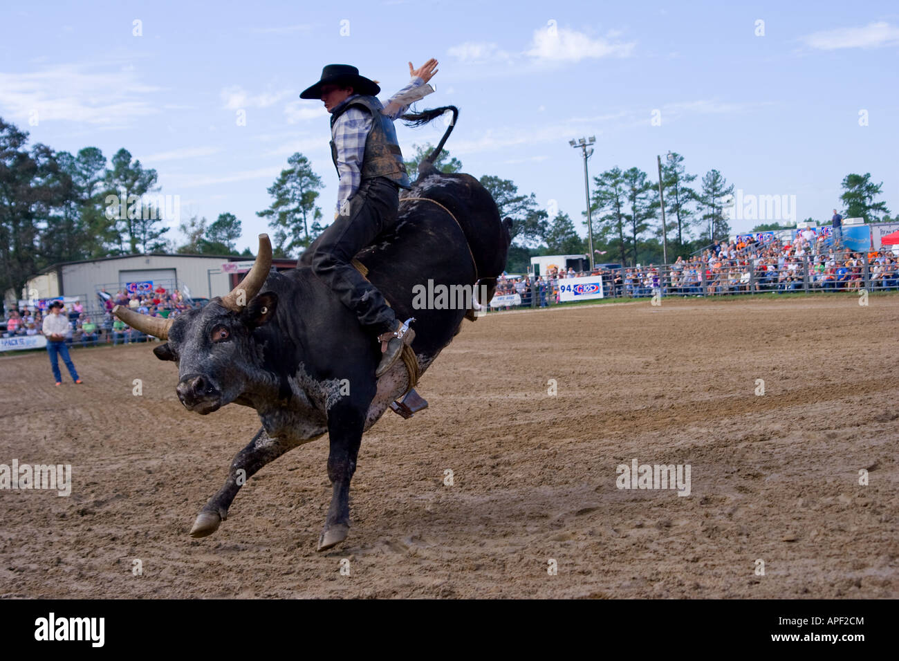 Rodeo Cowboy Reiten einen Stier - Kopf über die Fersen Stockfoto