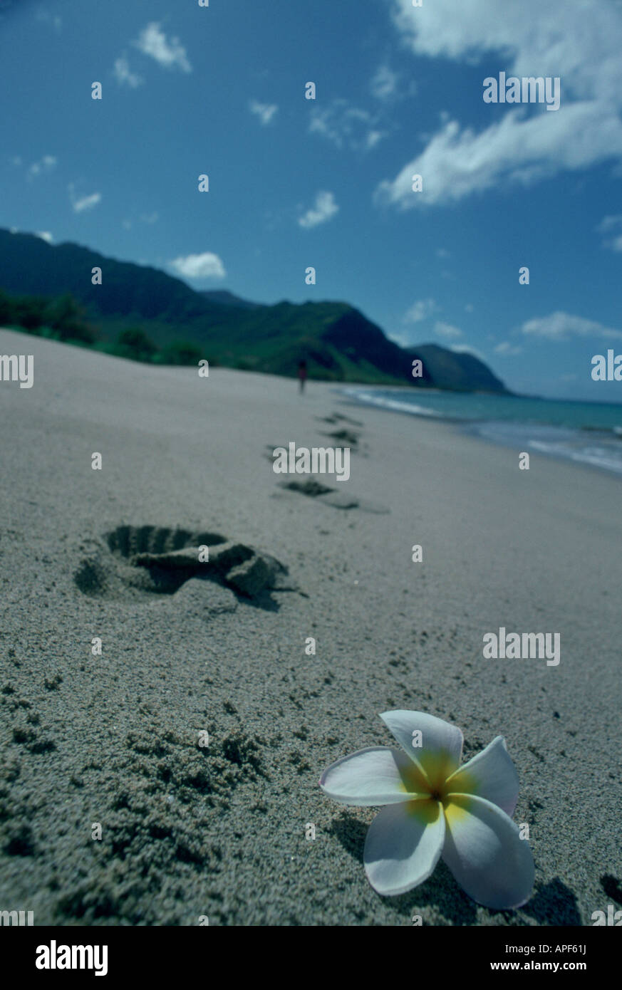 Lumeria Blumen- und Fußabdrücke am Strand mit einem Mädchen verblasst im Hintergrund Stockfoto