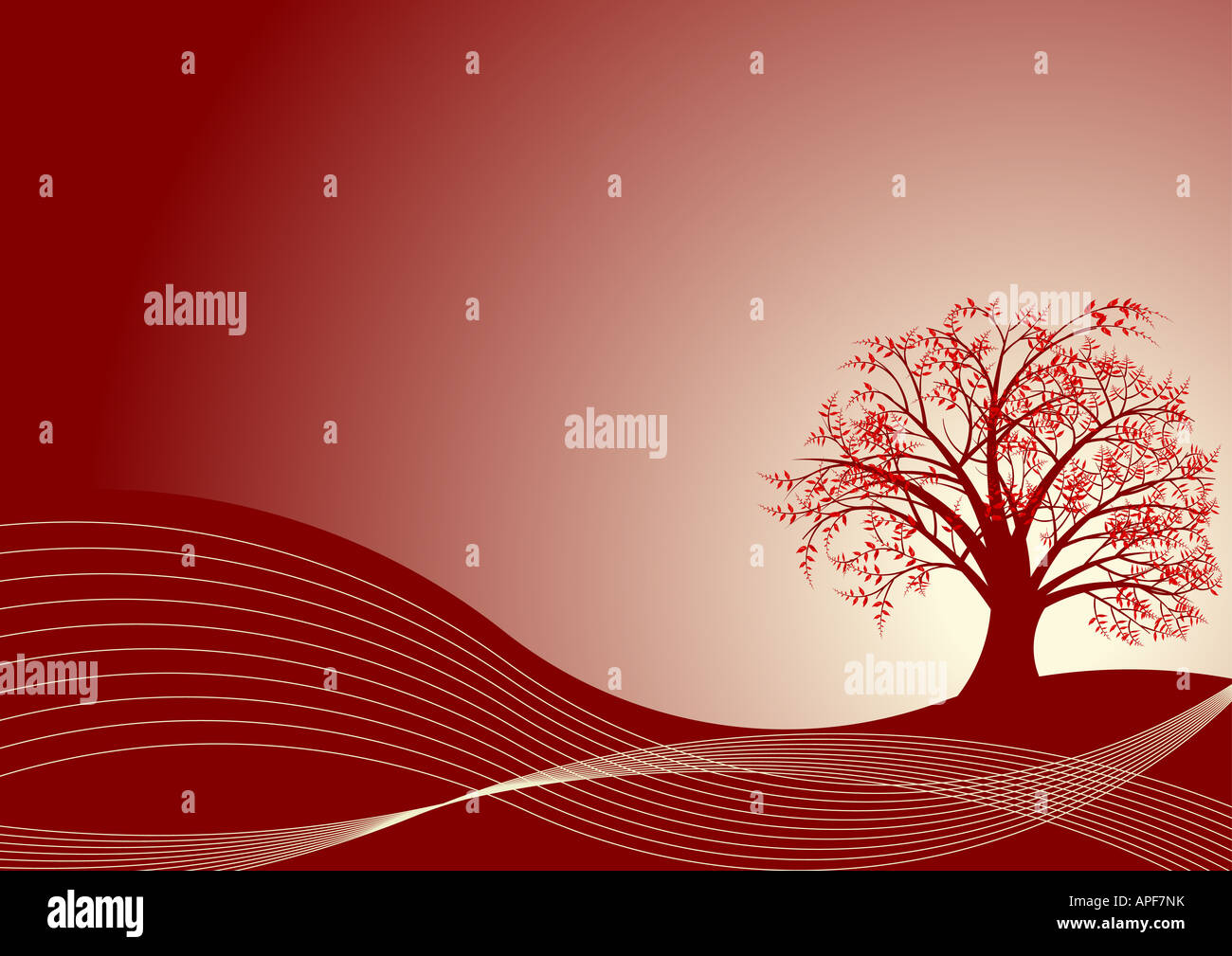 Vektor Herbst Baum-design Stockfoto