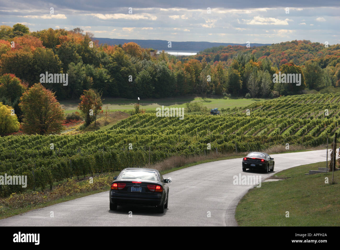Michigan Old Mission Peninsula, Traverse City, Chateau Chantal Vineyards, Weinberg, Straße, Autos, Natur, Natur, Landschaft, Landschaft, Autom Stockfoto