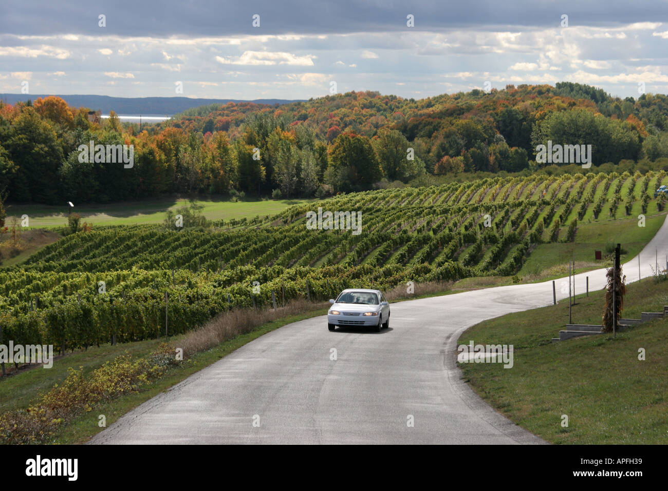 Michigan Old Mission Peninsula, Traverse City, Chateau Chantal Vineyards, Weinberg, Straße, Autos, Natur, Natur, Landschaft, Landschaft, Autom Stockfoto
