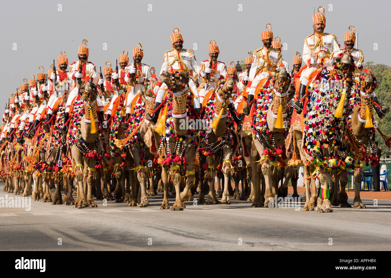 Soldaten des indischen Kamel Armeekorps abreiten Raj Path in Vorbereitung für die Republik Day Parade Stockfoto