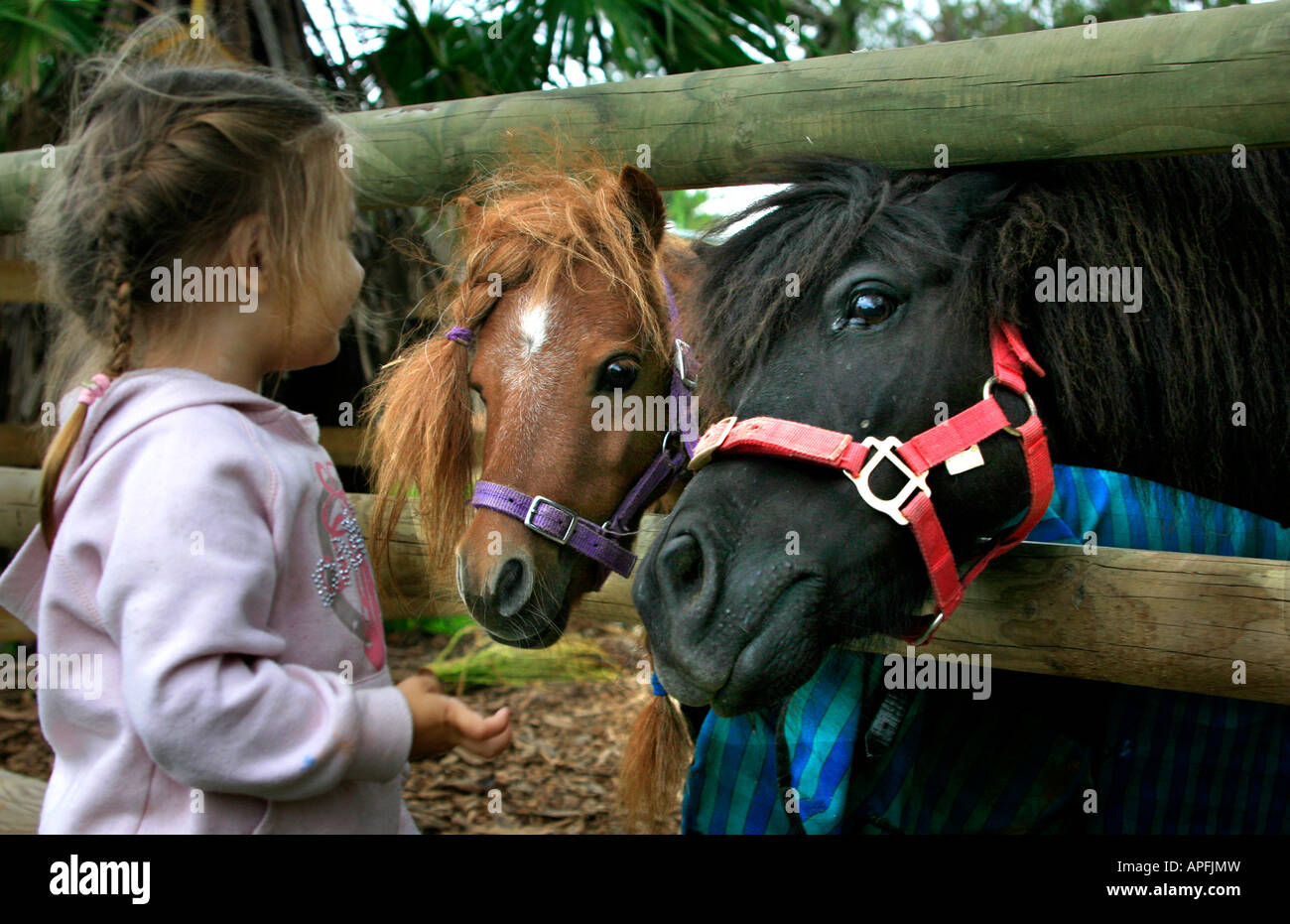 Ein kleines Kind mit Ponys auf einem Bauernhof. Stockfoto