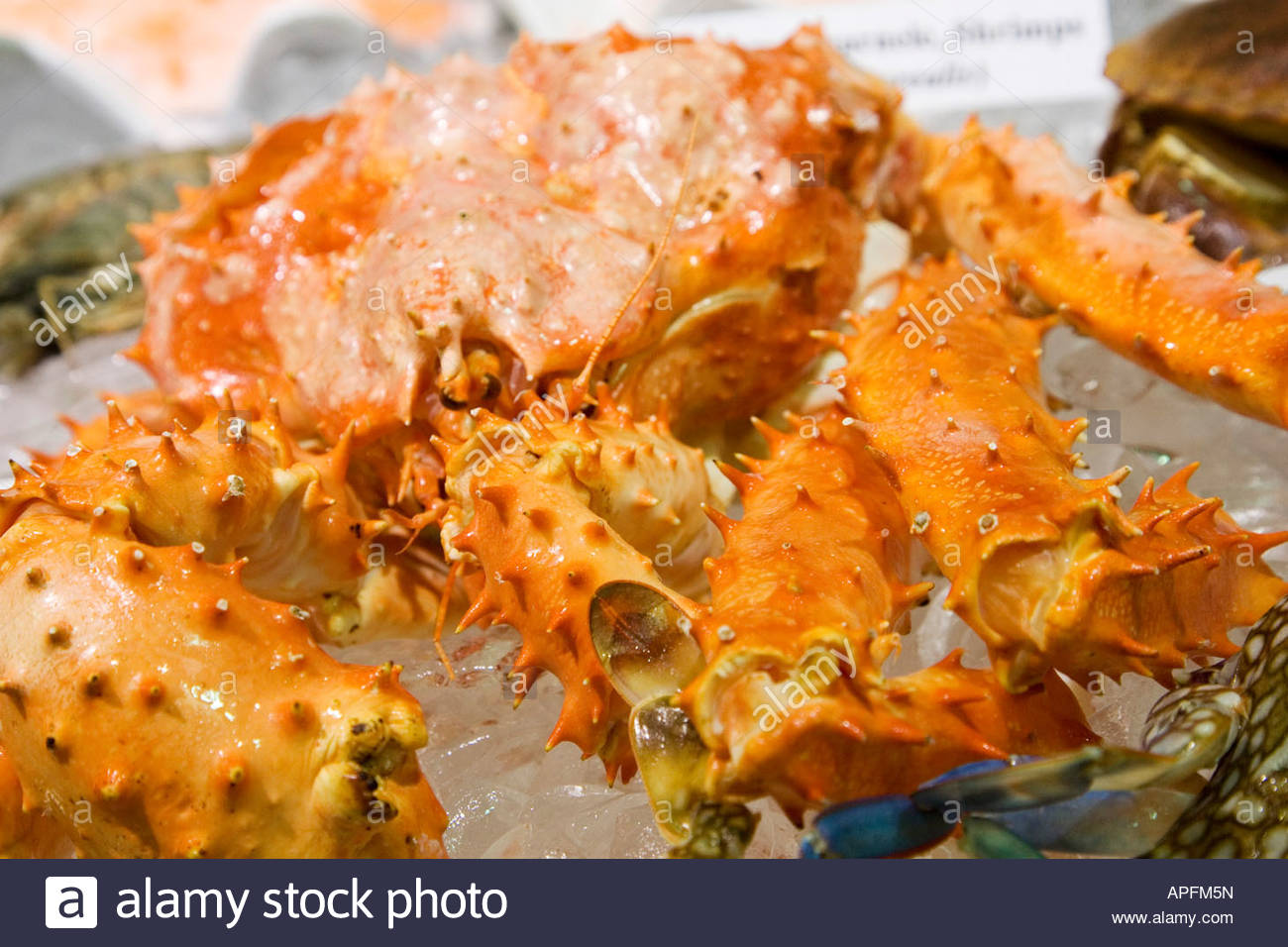 King Crab Stockfotos & King Crab Bilder - Alamy