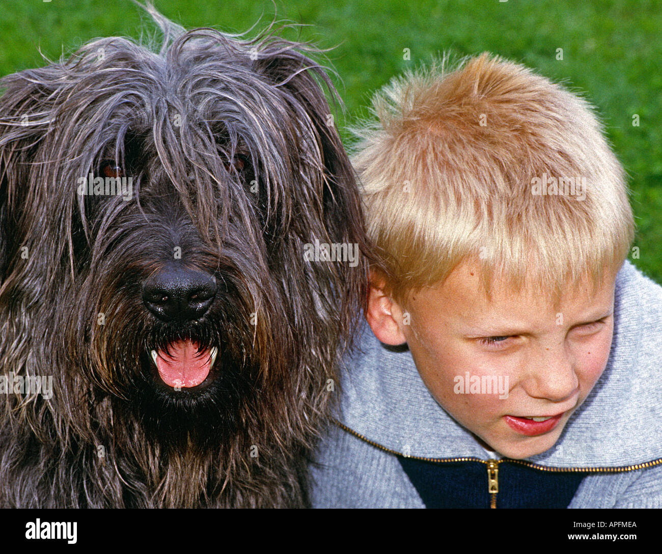 Herr Hund-Schnauzer Mischling und blonder Junge Kopf anzeigen Stockfoto