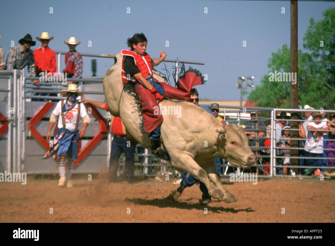 Stier-Rodeo Reiten, Texas Stockfoto