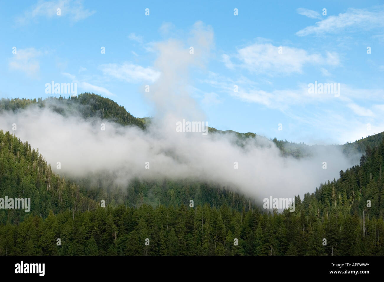 Inside Passage Landschaft, Britisch-Kolumbien, Kanada Stockfoto