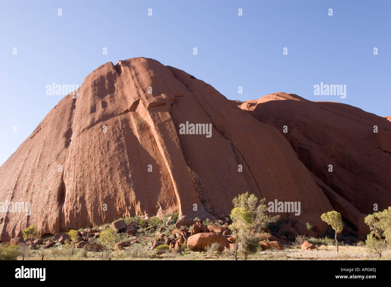 Kängurus Schwanz - Uluru (Ayers Rock) Stockfoto