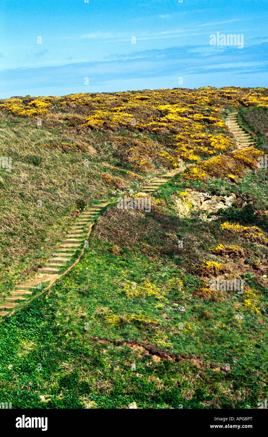 Landschaft auf Channel Islands, Guernsey Stockfoto