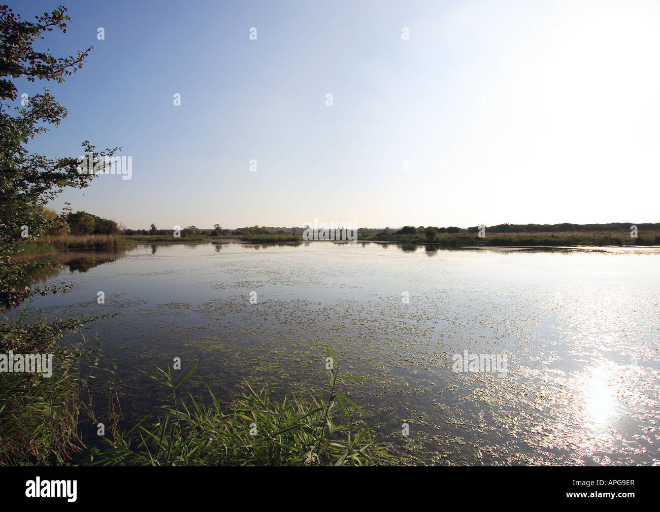 Die noch Wasserreservoir am Conyer Stockfoto