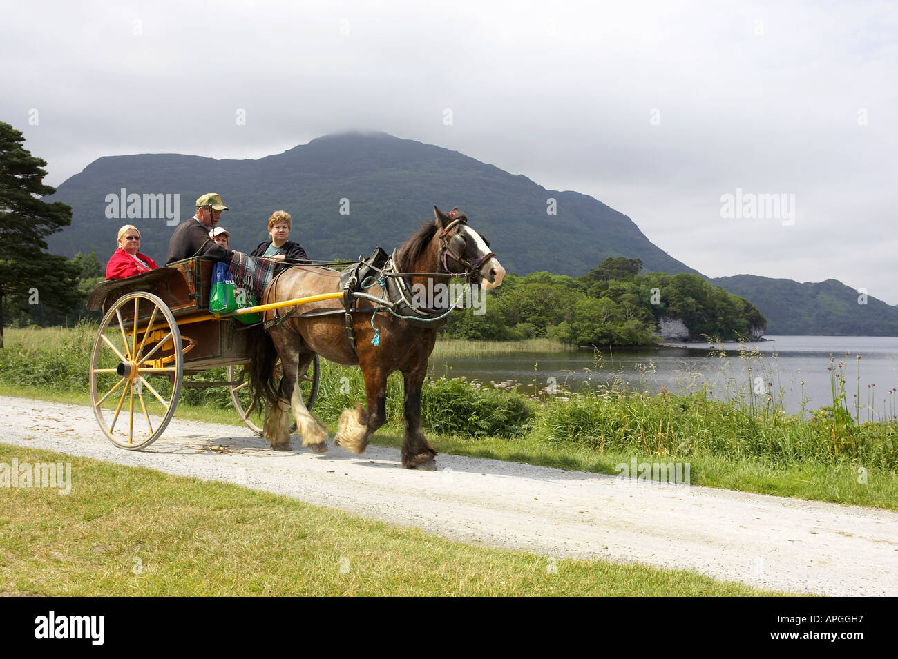 drei weibliche Touristen Amd Treiber ein Pferd und Kurzaufenthalte Cart fahren neben den Killarney Seen zu fangen Stockfoto