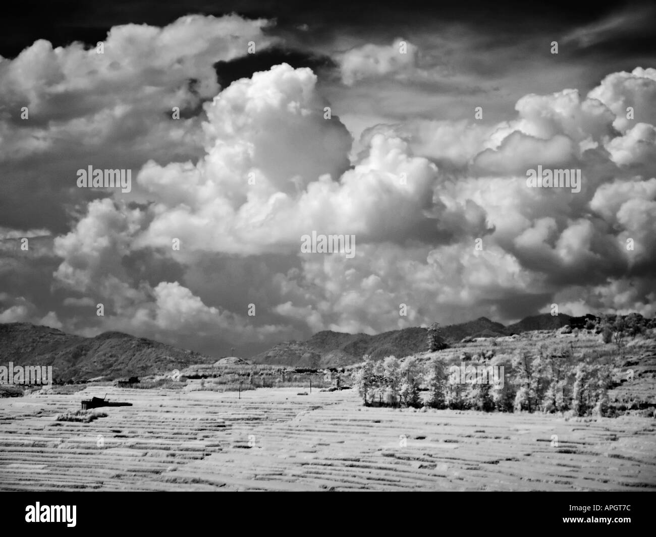 Schwarz / weiß Infrarot-Landschaft der Straße nach Khokana und Bungamati unter Reisterrassen von Kathmandu-Tal Nepal Stockfoto