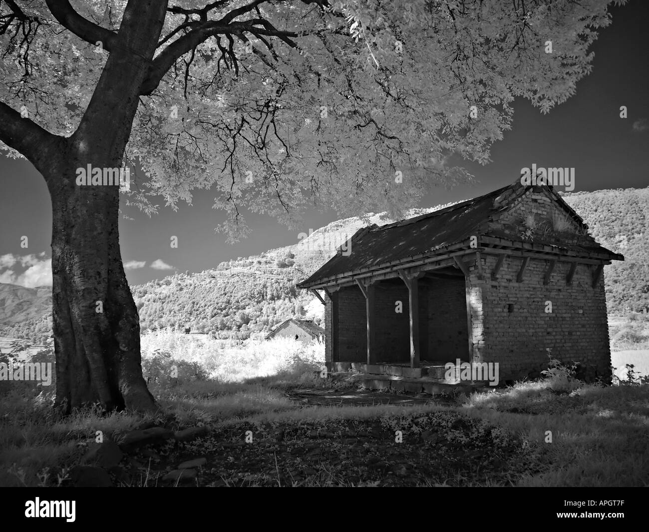 Schwarz / weiß Infrarot-Landschaft mit Baum und Gebäude in die Reisterrassen des Kathmandu-Tal Nepal Stockfoto