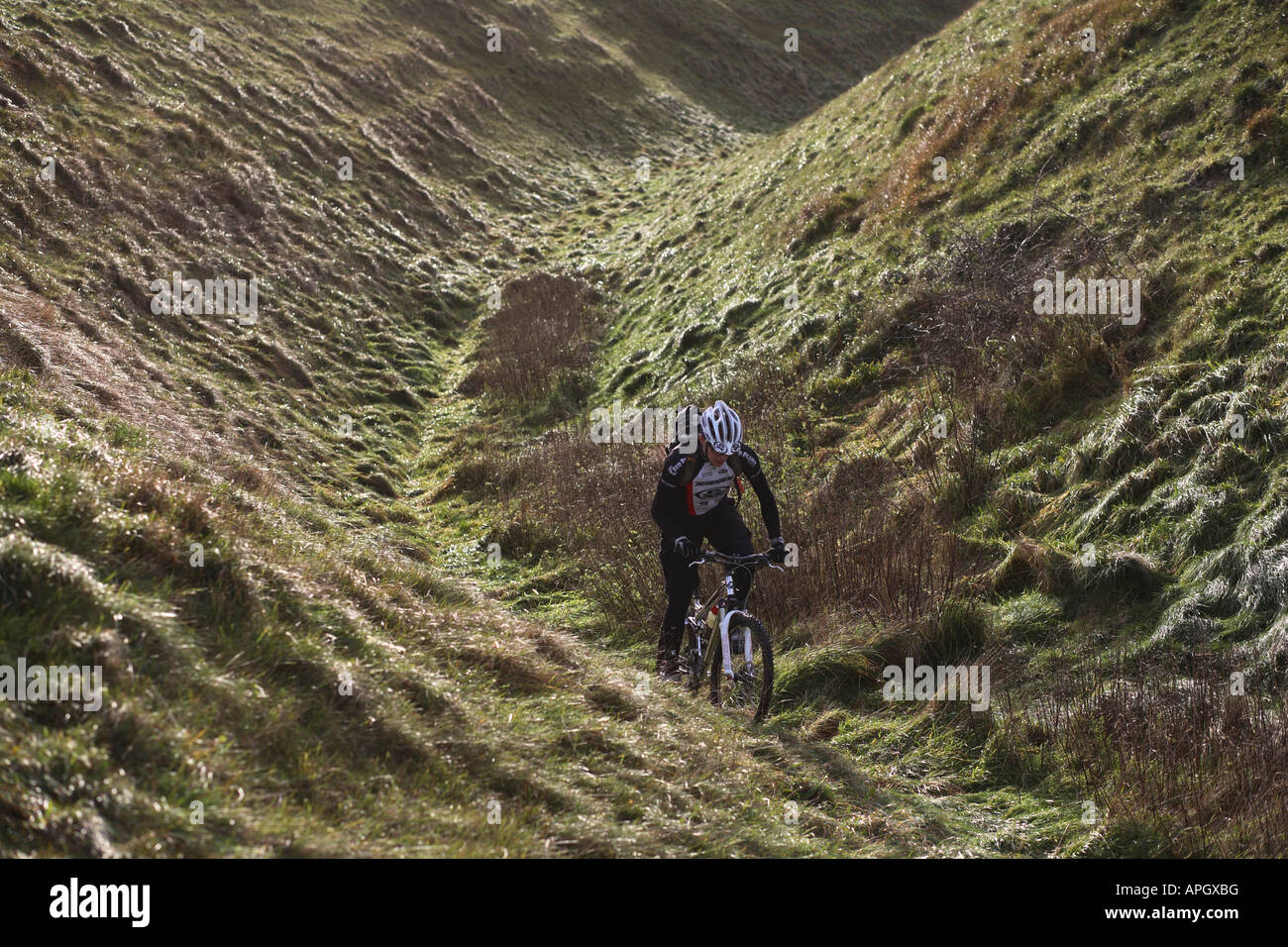 Lone Mountain Biker fährt eine Hintergrundbeleuchtung Trail in Wiltshire Stockfoto