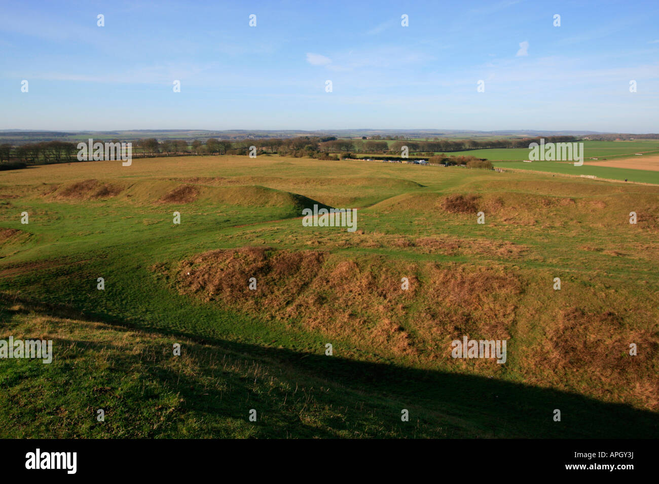 Badbury Rings ist eine Wallburg Eisenzeit im Osten Dorset, England uk gb Stockfoto