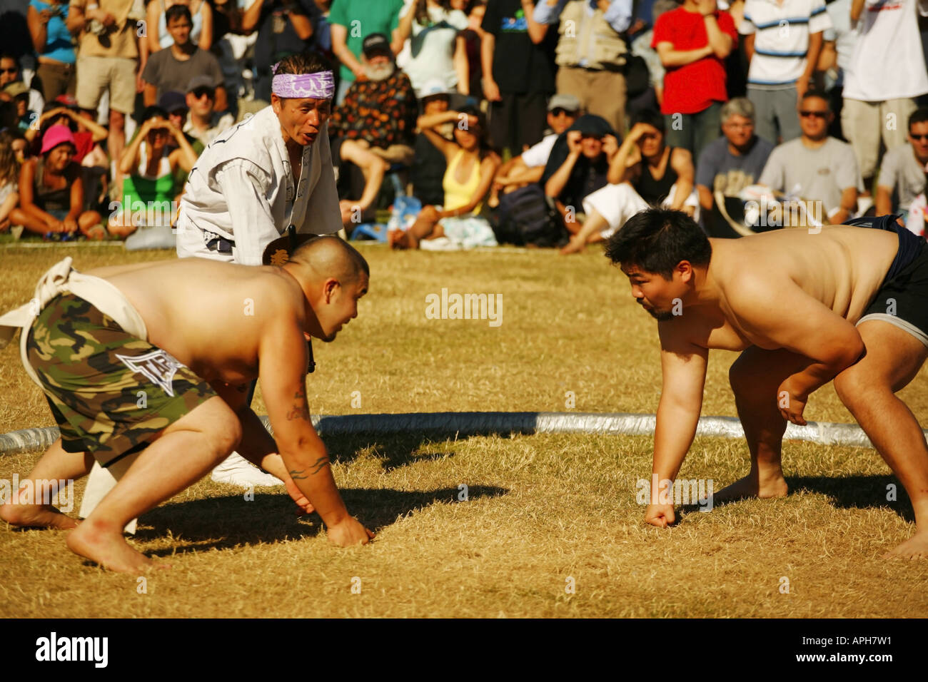 Sumo-Ringen Stockfoto