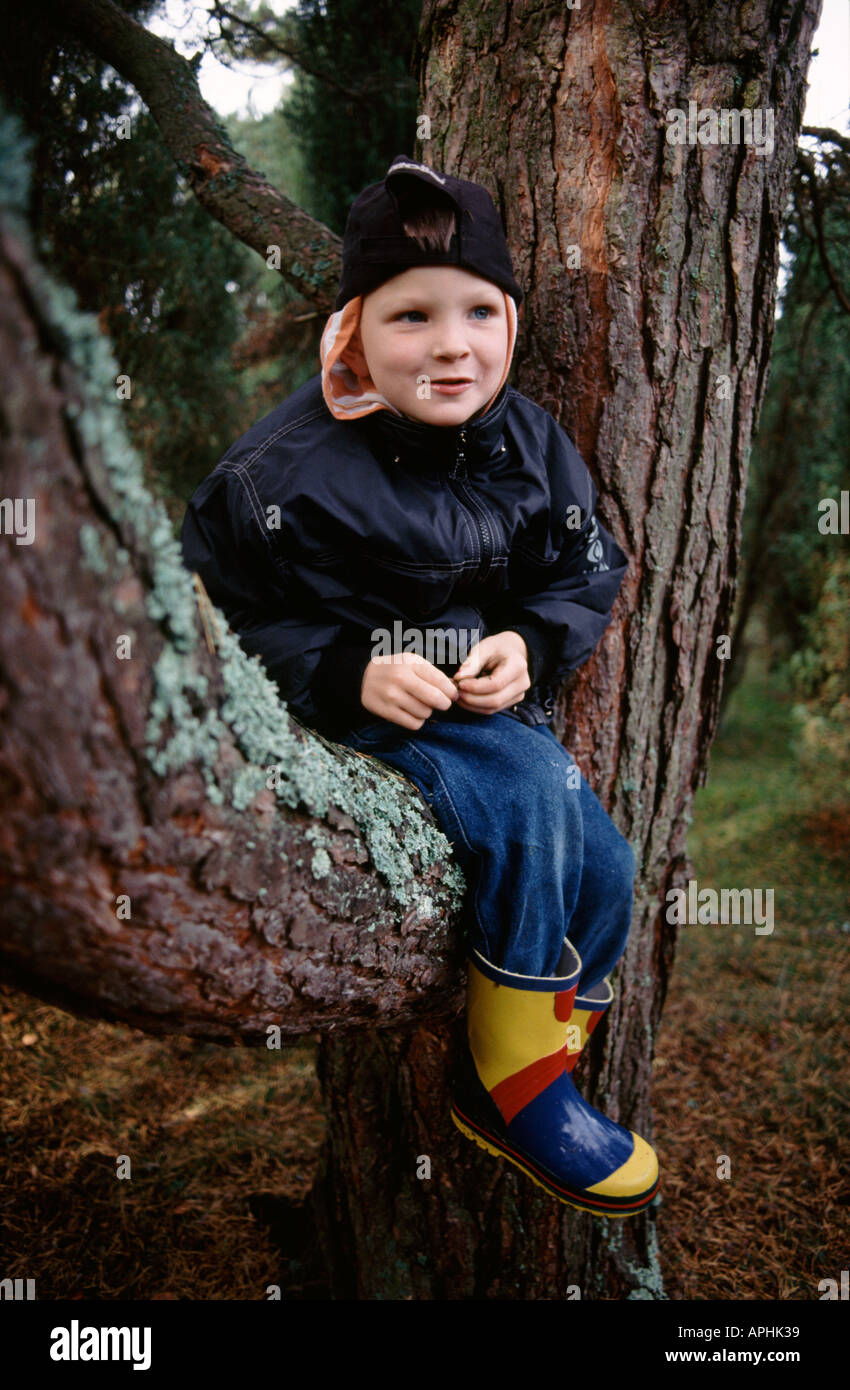 Kleiner Junge im Baum Stockfoto