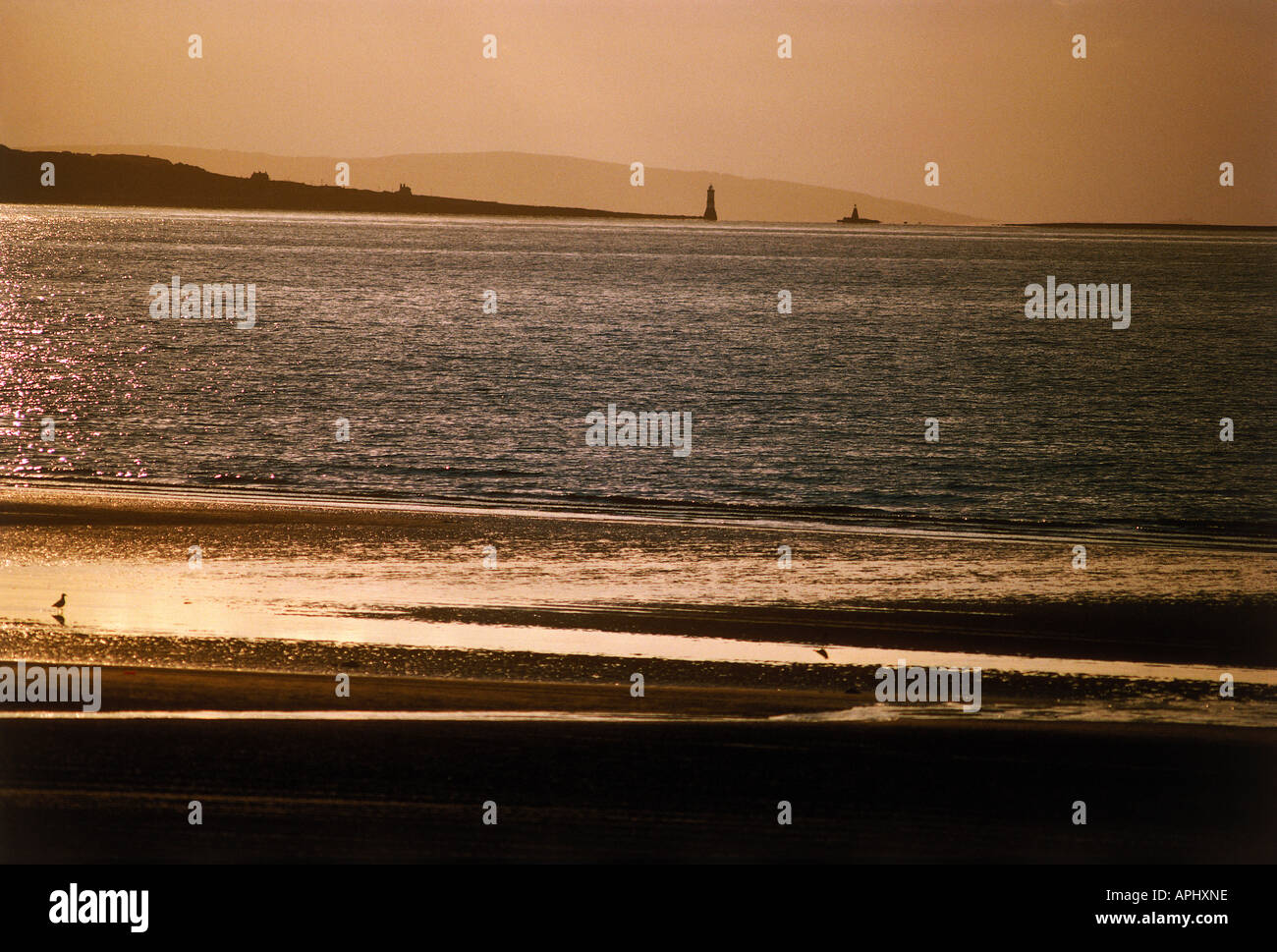 An der Küste, der Blick auf das Meer in der Abenddämmerung am Penmaenmawr Conwy Stockfoto