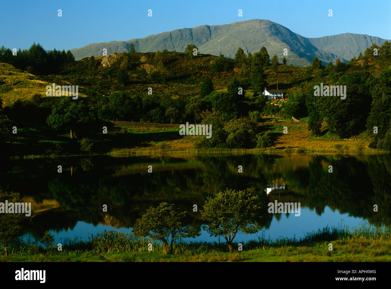 Am frühen Morgen Reflexionen im Loughrigg Tarn, in der Nähe von Ambleside, Nationalpark Lake District, Cumbria Stockfoto