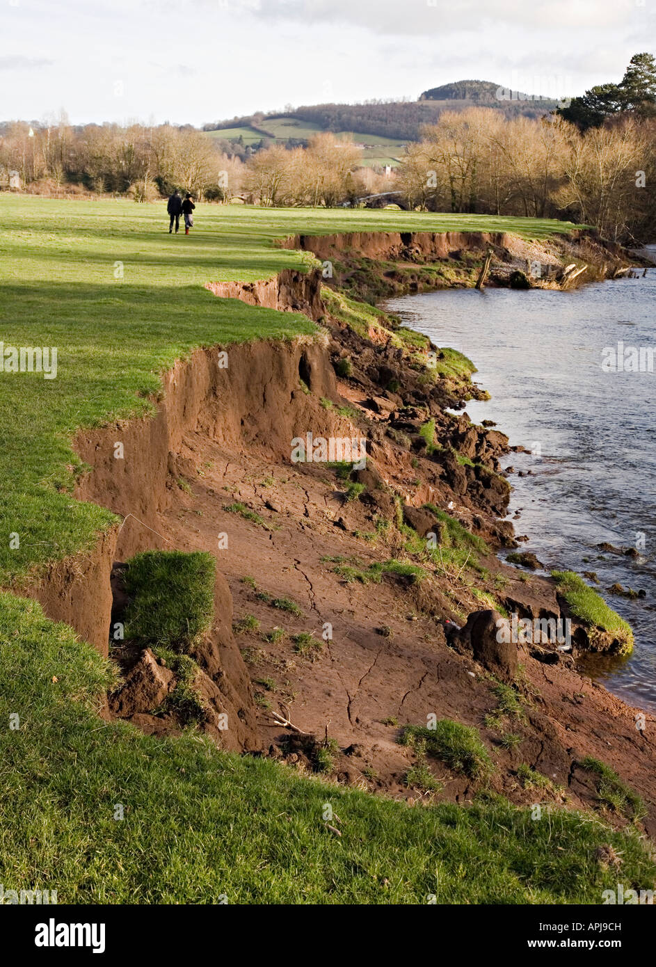 Erodiert, einstürzenden Abschnitt der Bank des Flusses Usk in der Nähe von Abergavenny Wales UK Stockfoto