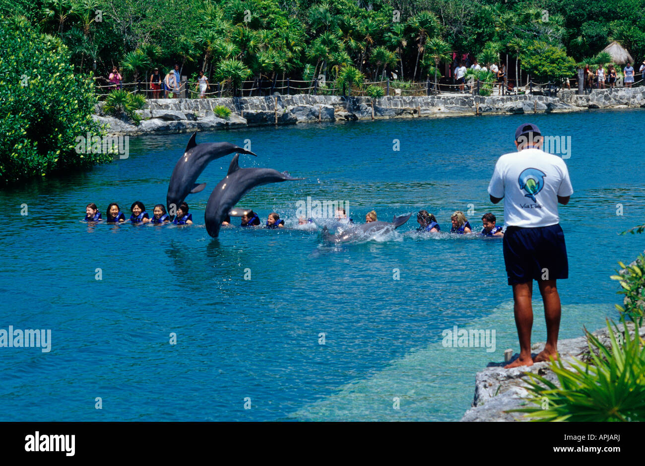 Schwimmen mit Delfinen Xel Ha ökologische Park Riviera Maya Mexiko Besucher Stockfoto