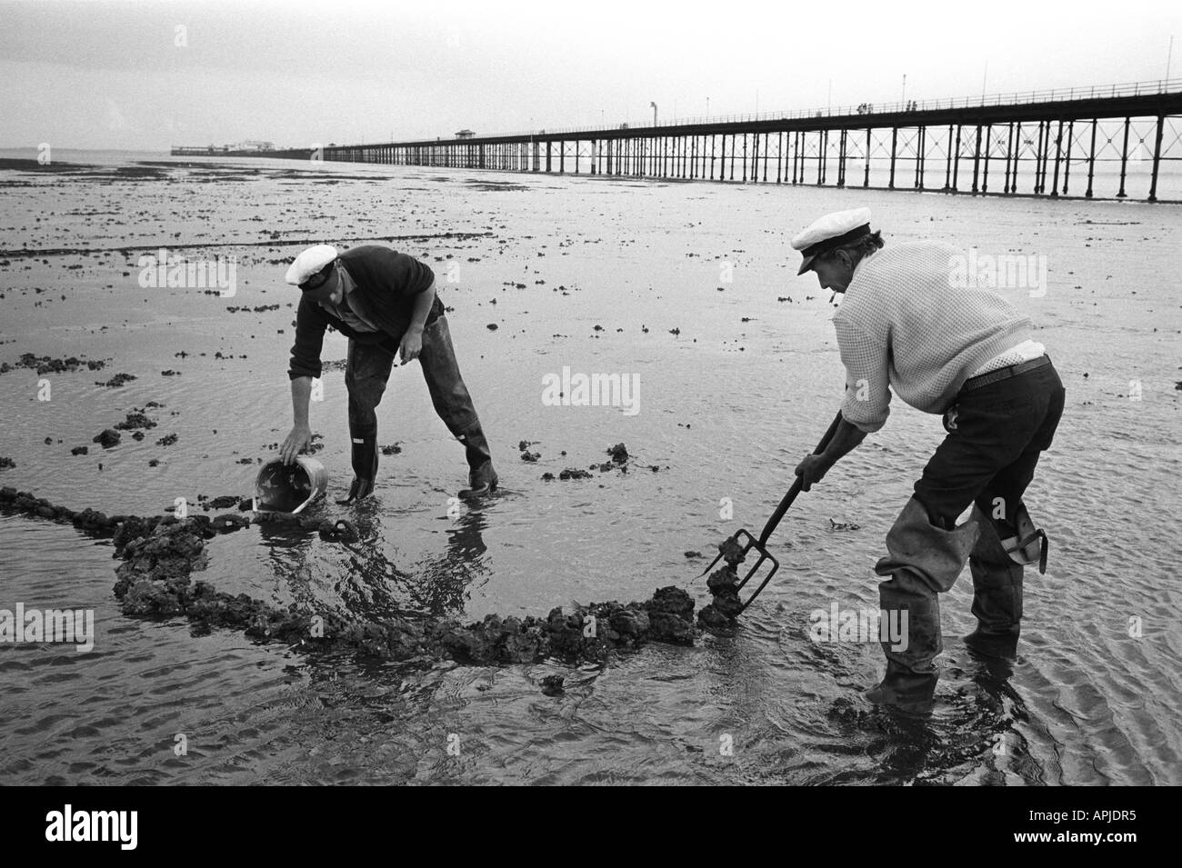 Fischer, die nach Lug Worms Southend auf See graben, Pier Essex. England 1974. 1970S GB HOMER SYKES Stockfoto