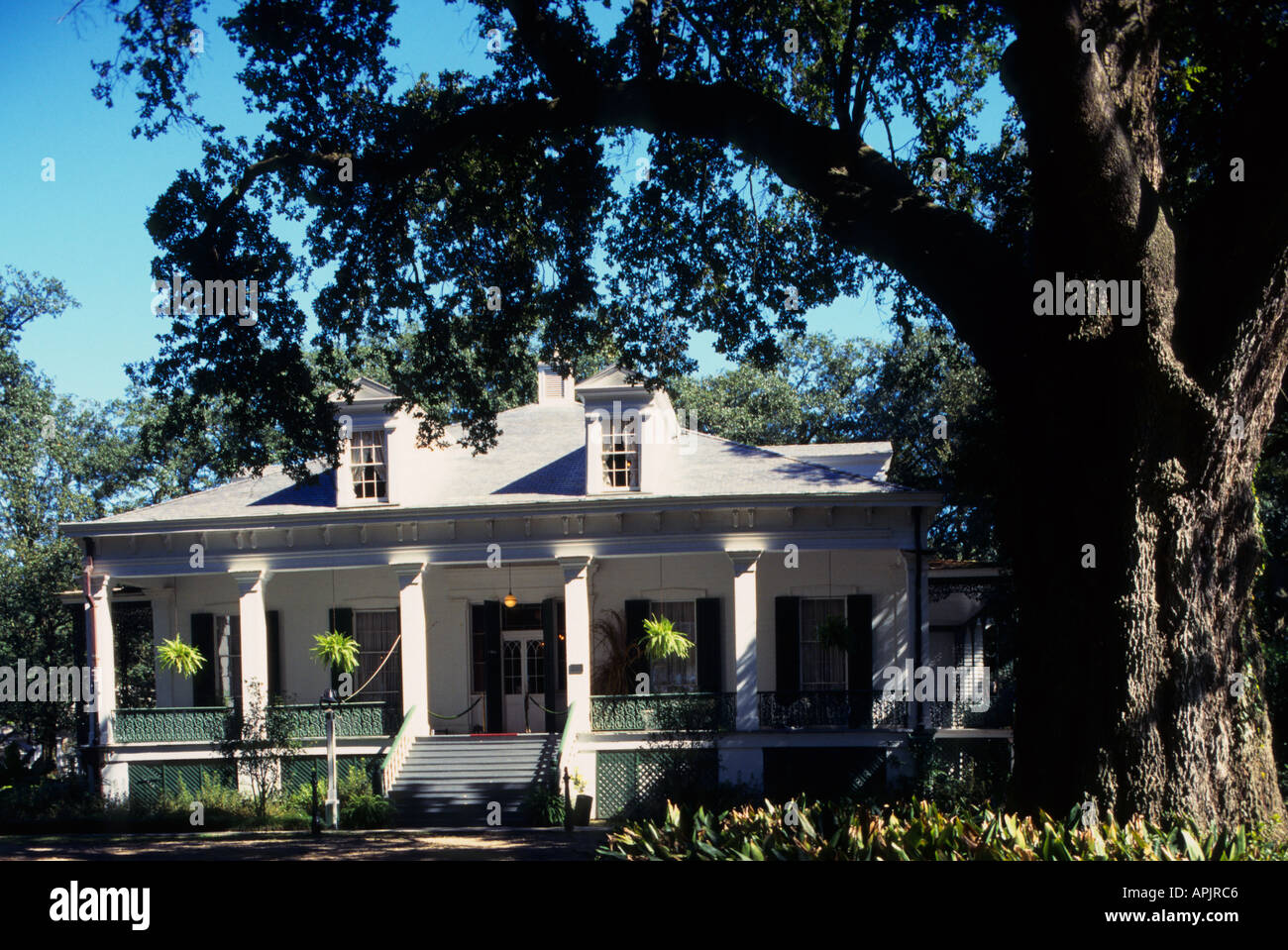 Burnside Houmas House Plantation Gardens Greek Revival Louisiana in der Nähe von New Orleans Stockfoto