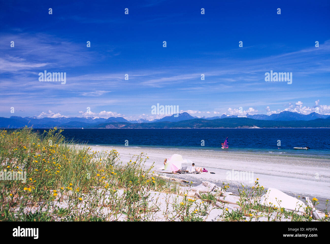 Sandstrand am Indian Point auf Savary Insel im nördlichen Golf-Inseln, mit Blick auf die Georgia Strait, BC, British Columbia, Kanada Stockfoto