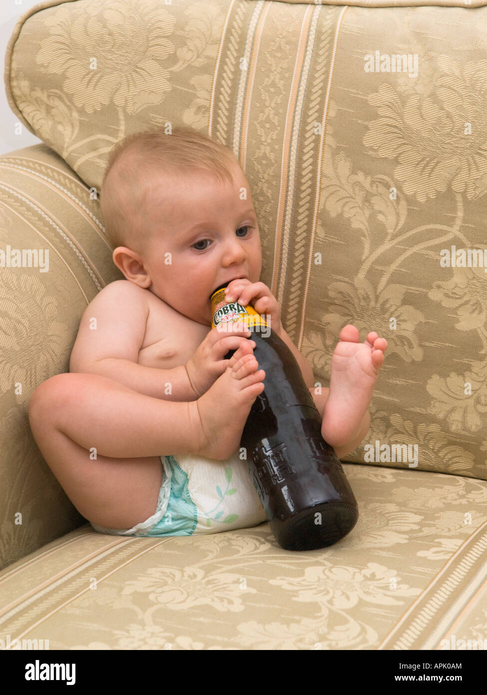Fünf Monate altes Baby saugen auf Bierflasche Stockfoto