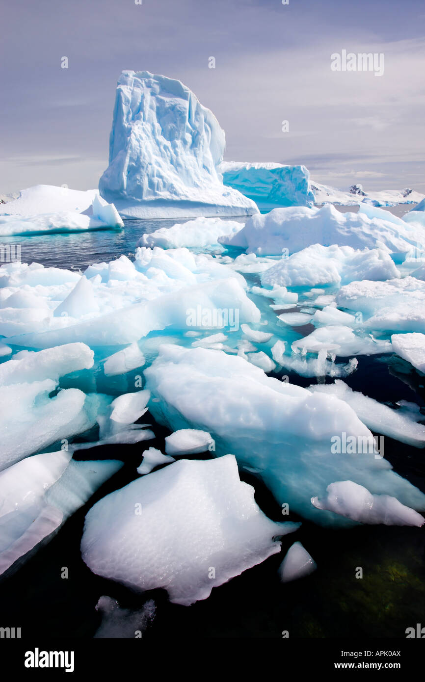 Eisberge in Küstennähe in Paradise Harbour, Antarktis Stockfoto