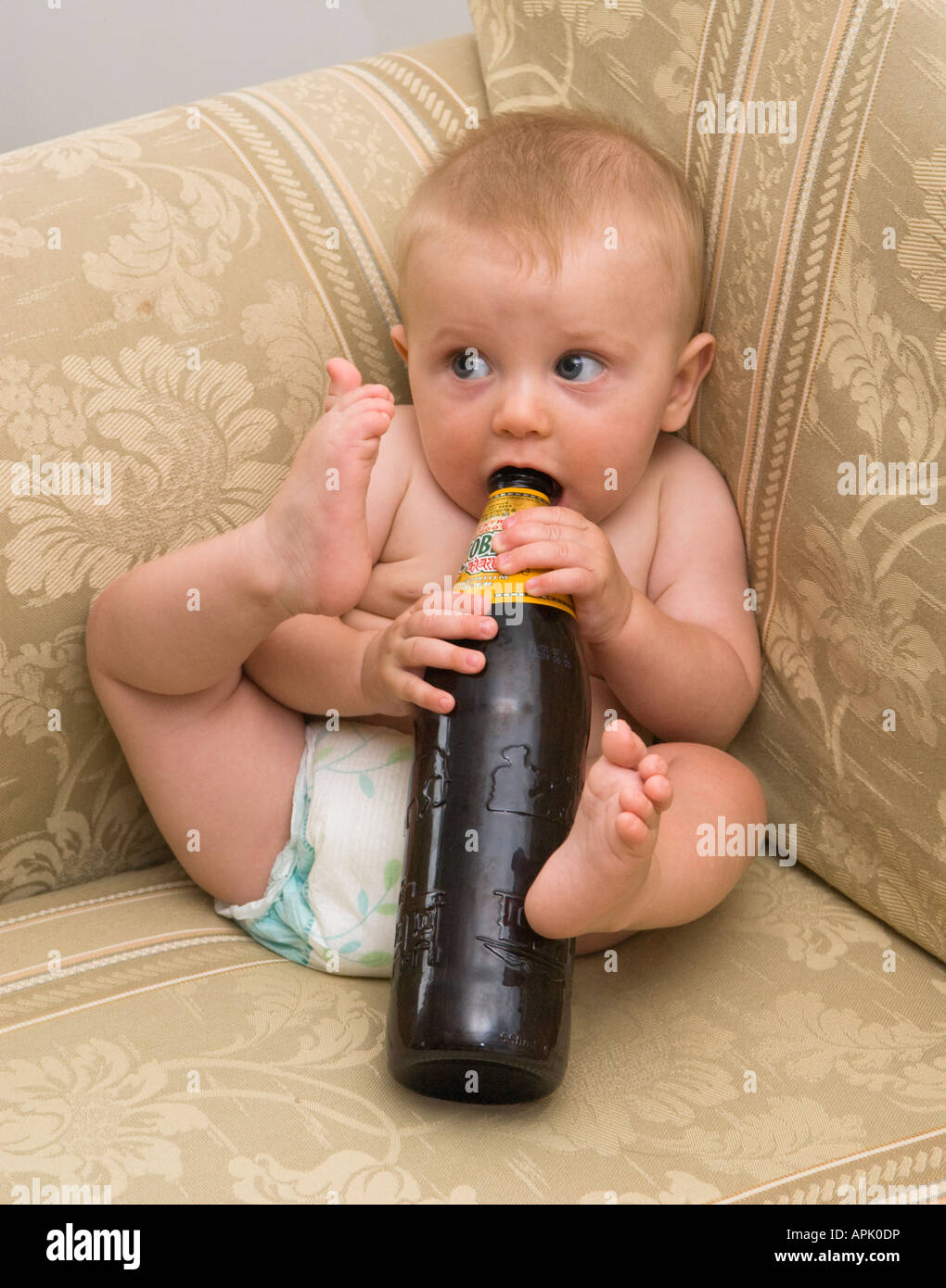 Fünf Monate altes Baby saugen auf Bierflasche Stockfoto