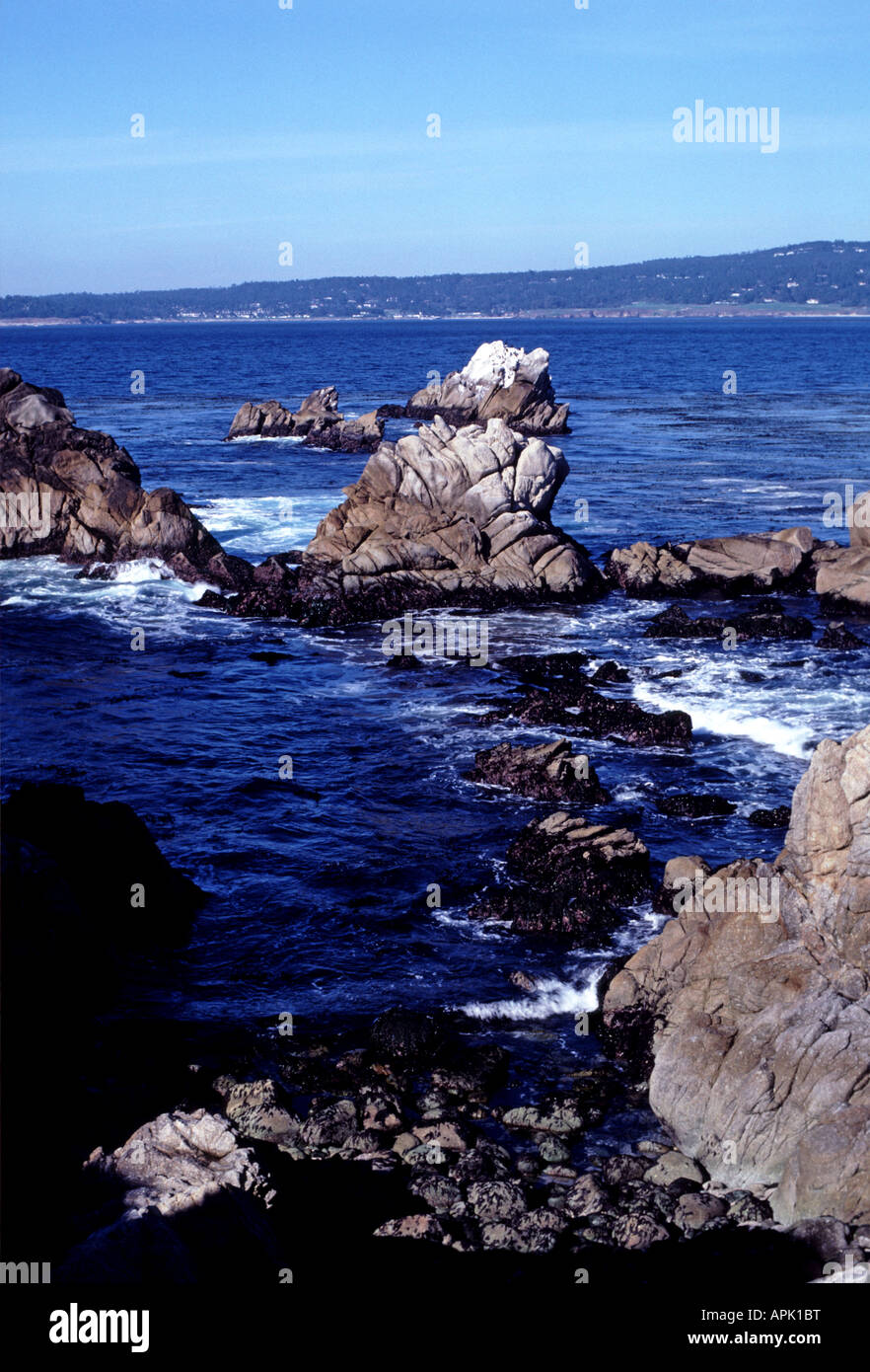 Cannery Point in Point Lobos State Park in Kalifornien Stockfoto