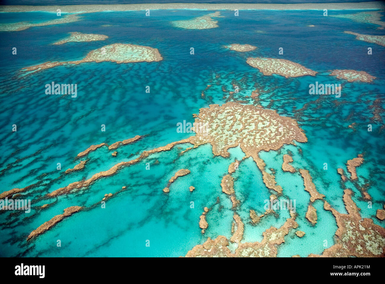 Knuckle Reef, Great Barrier Reef, Australien Stockfoto