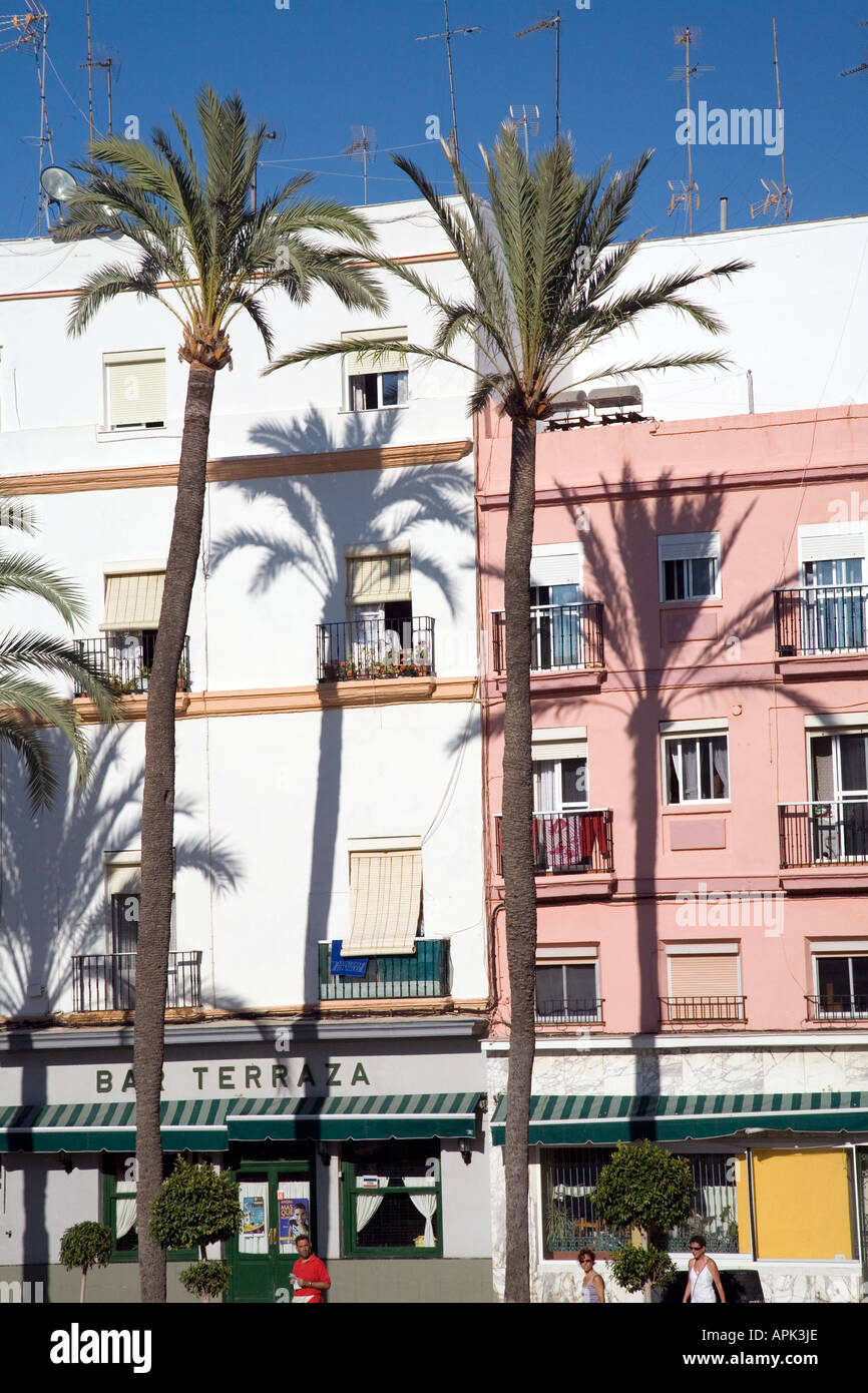 Hohe Palmen werfen ihre Schatten auf Wänden Cadiz Spanien Stockfoto
