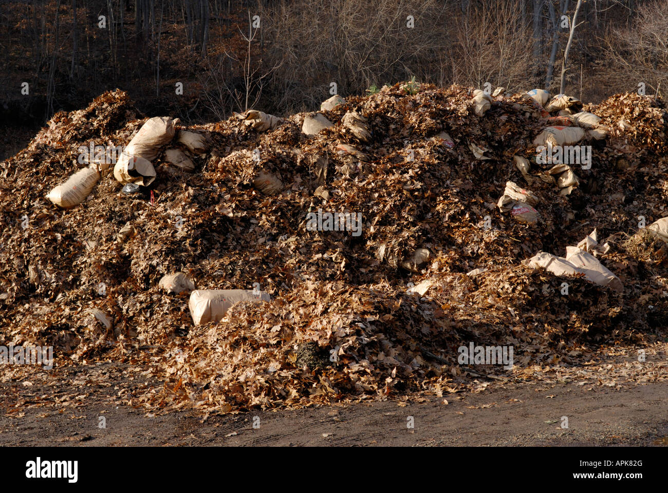 Hügel der Blätter gesammelt von eine Gemeinde-s-Bewohner, die die Blätter werden kompostiert werden, um Boden zu erstellen Stockfoto